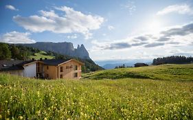 Seelaus Seiser Alm